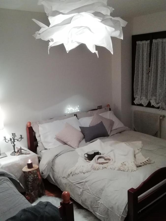 Elison-On The Lake B&B サウリス エクステリア 写真