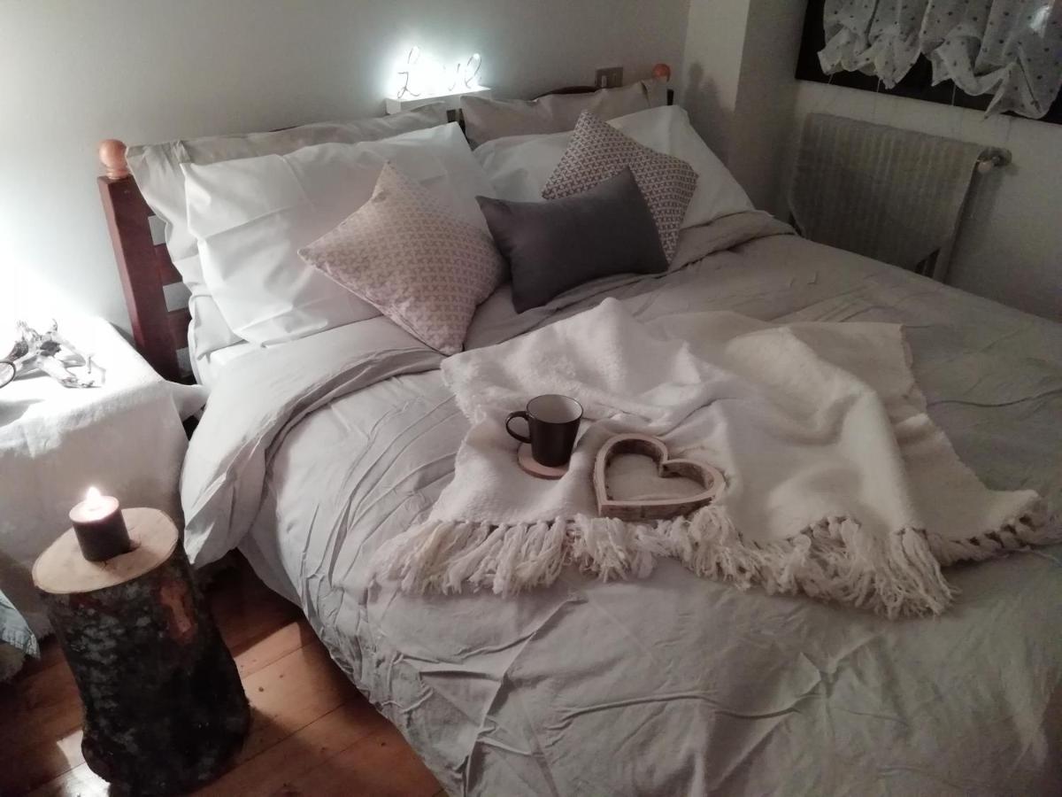 Elison-On The Lake B&B サウリス エクステリア 写真
