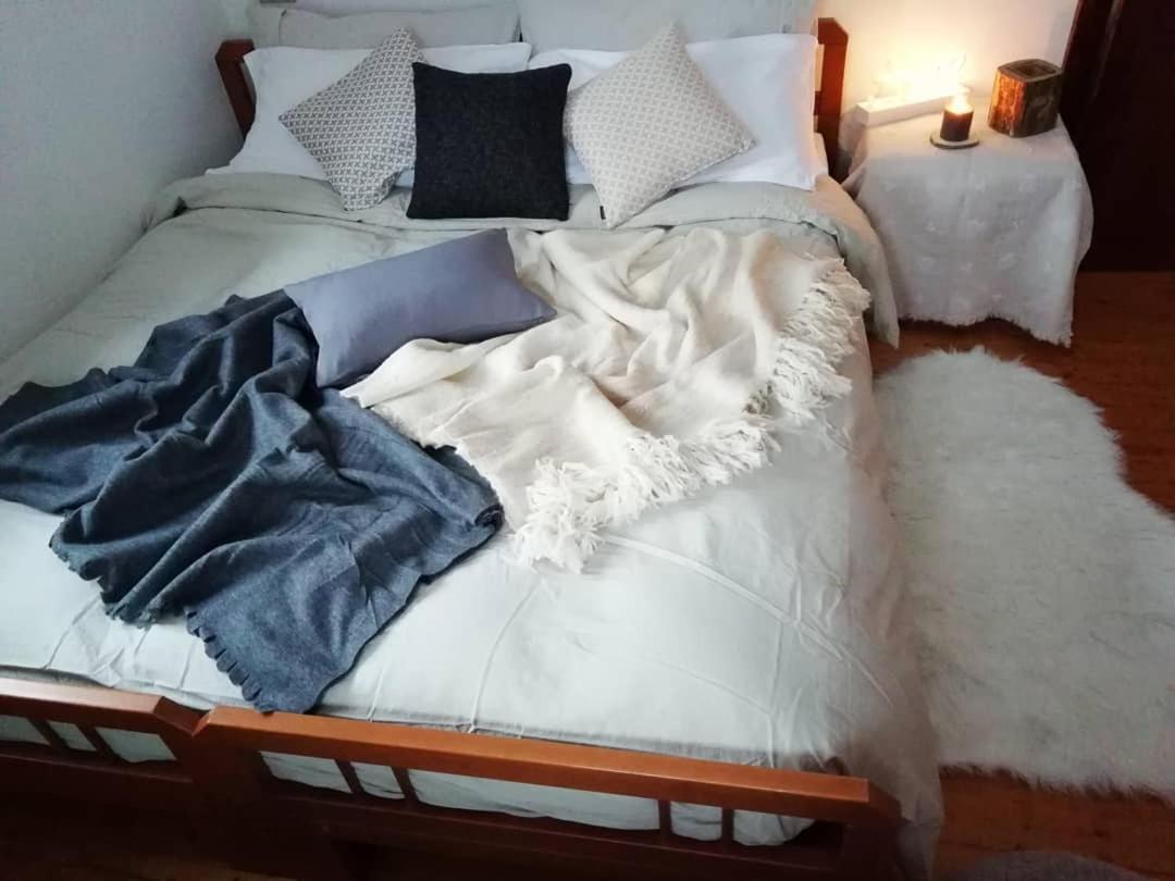 Elison-On The Lake B&B サウリス エクステリア 写真