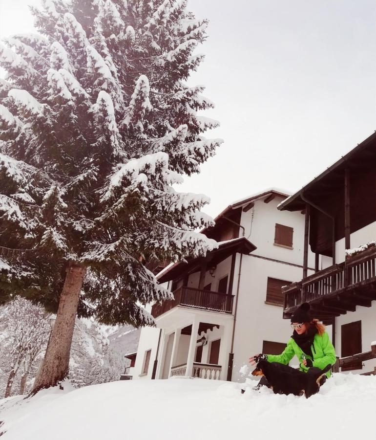Elison-On The Lake B&B サウリス エクステリア 写真