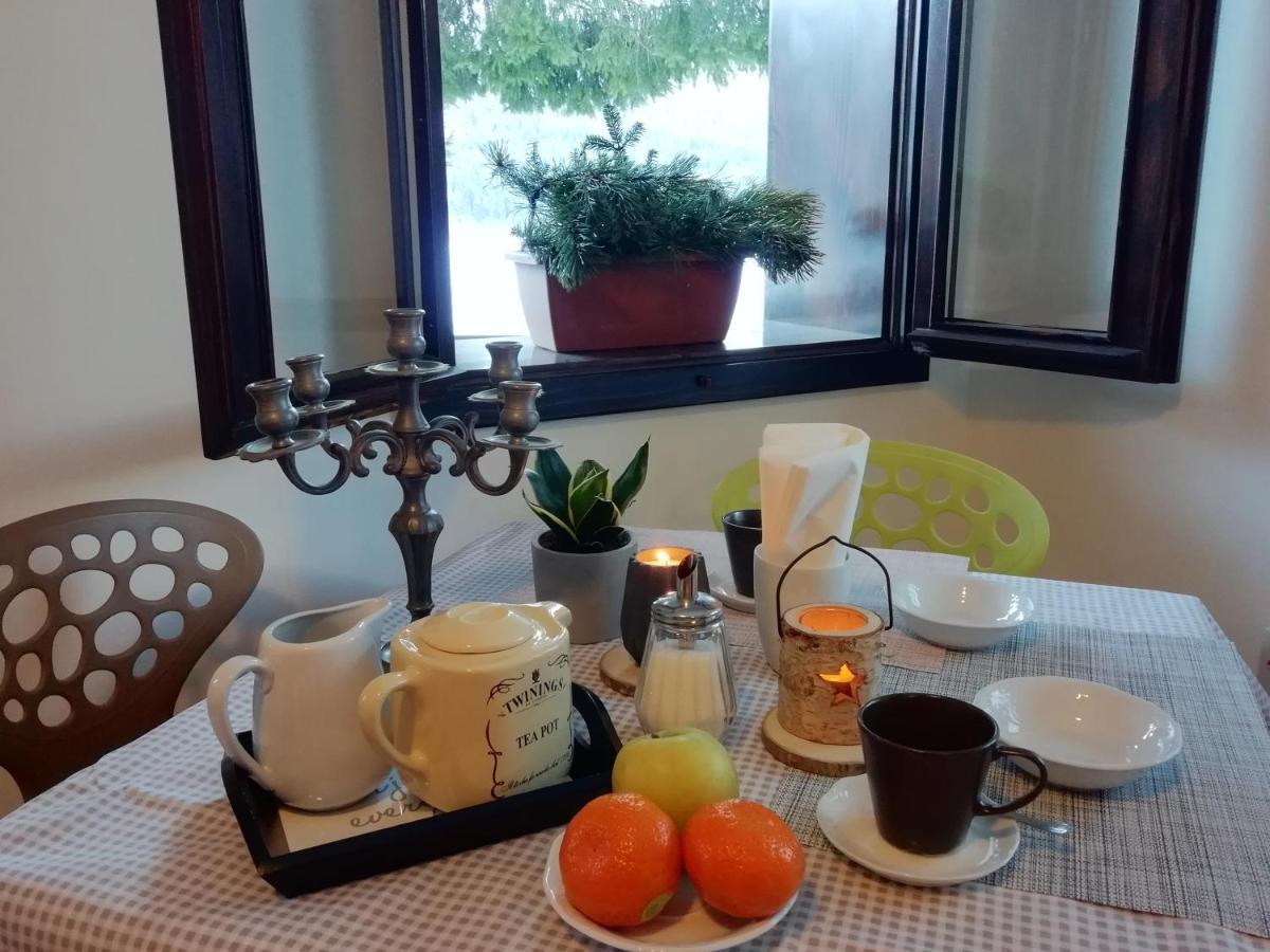 Elison-On The Lake B&B サウリス エクステリア 写真
